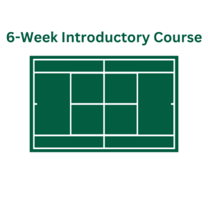 6 Week Introductory Course