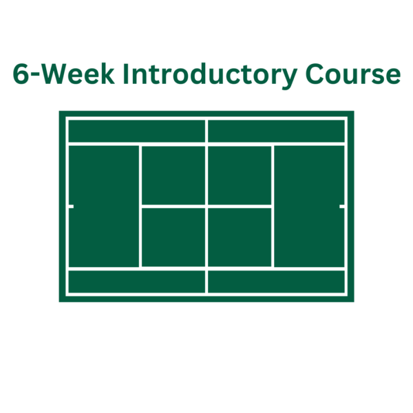 6 Week Introductory Course